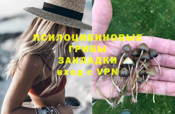 гидропоника Липки