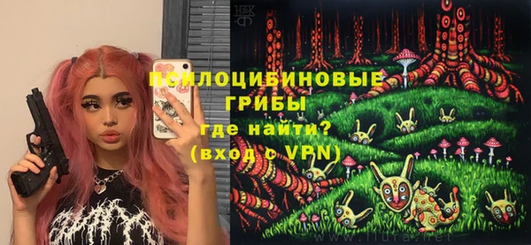 гидропоника Липки