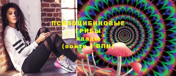 гидра Лихославль