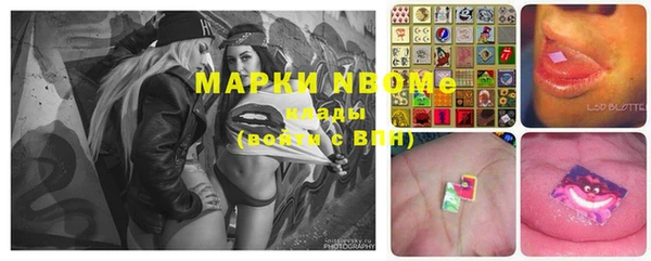 бошки Болотное
